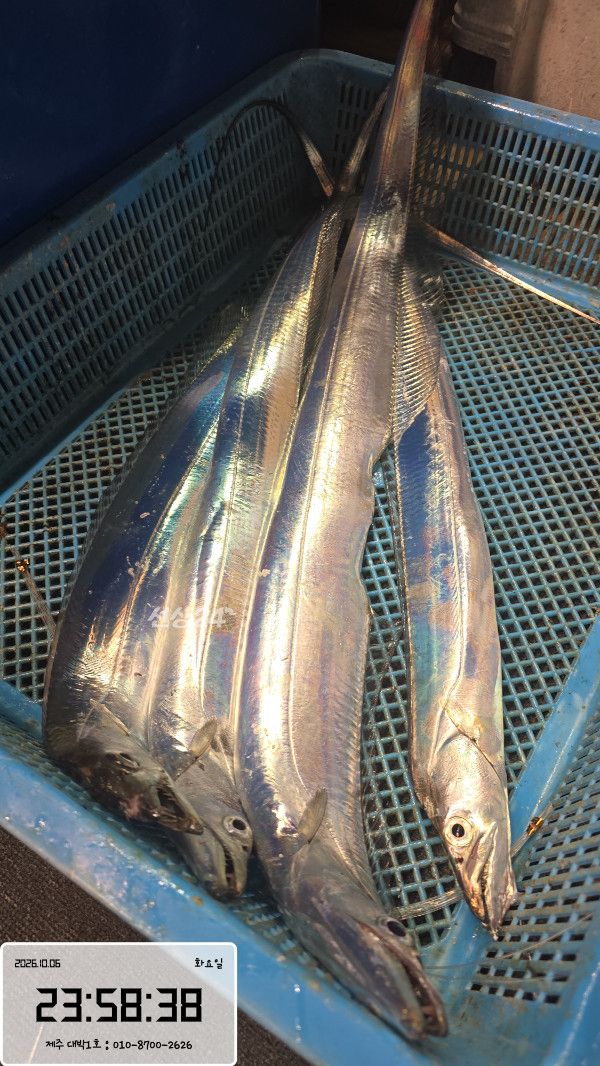 1000087374.jpg