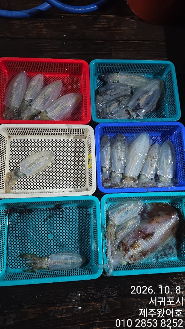 제주왔어호_사진_20261009_32.jpg