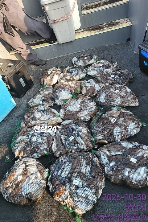 1000015121.jpg