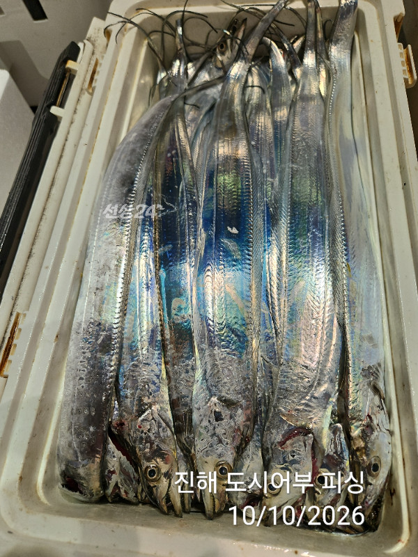 KakaoTalk_20261010_043600356_15.jpg