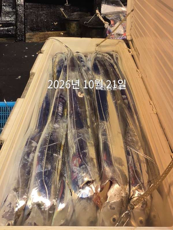 B69FFCD3-425D-423E-B093-113359C0D20D.jpeg