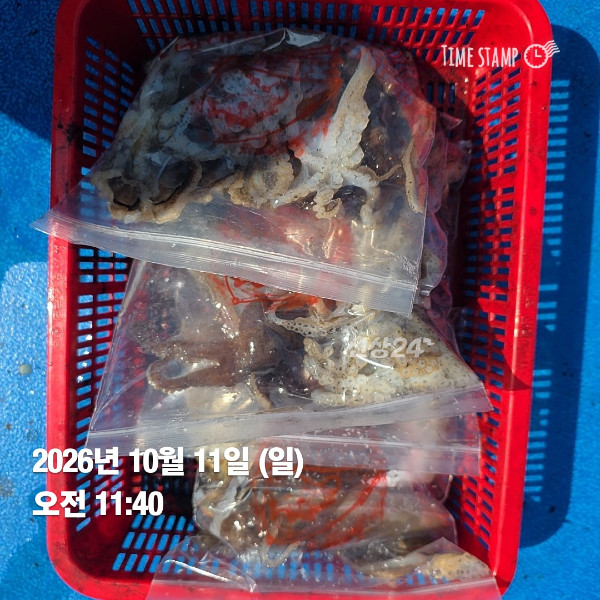 KakaoTalk_20261011_172621376_05.jpg