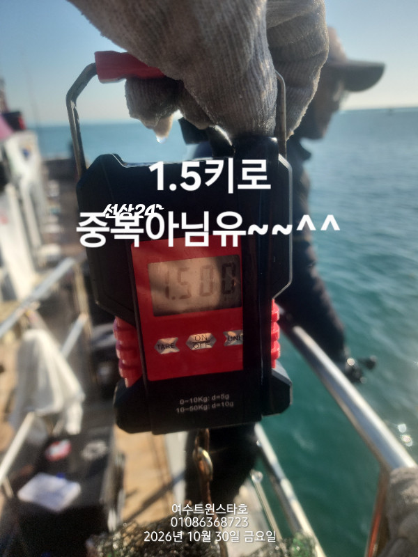 1000208273.jpg
