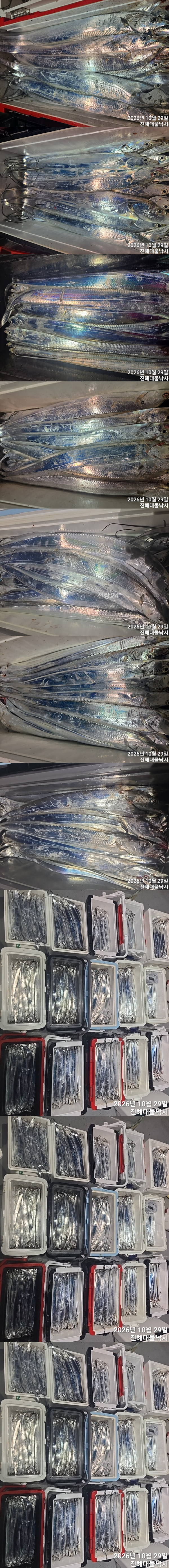 칼치5.jpg