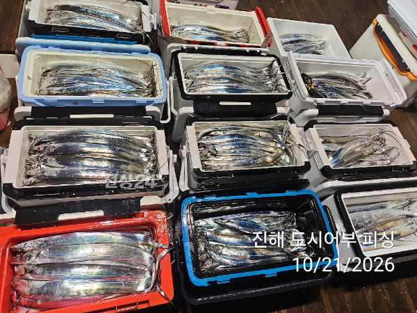 KakaoTalk_20261021_040550071_16.jpg