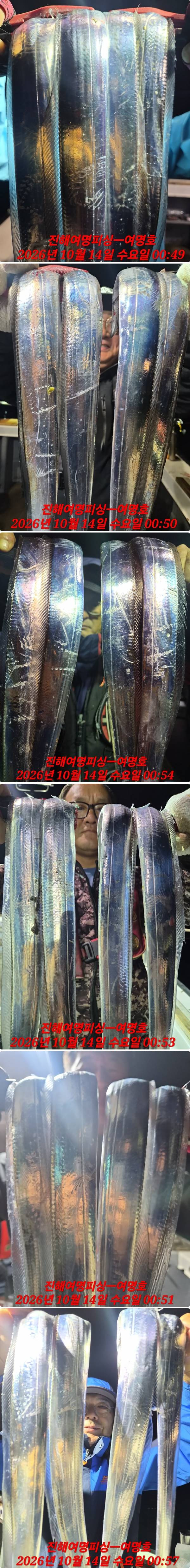 14일갈치상.jpg