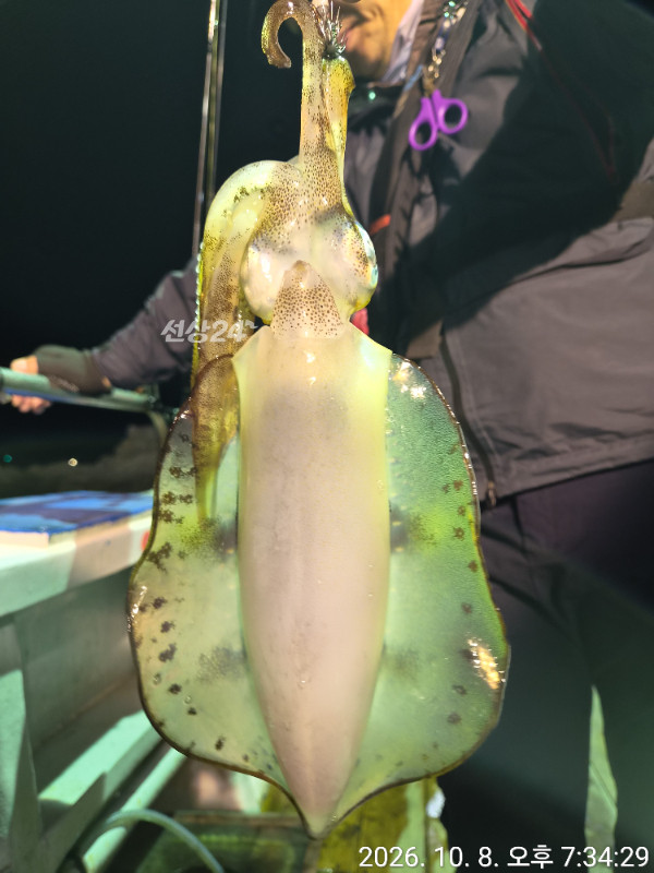 44855.jpg