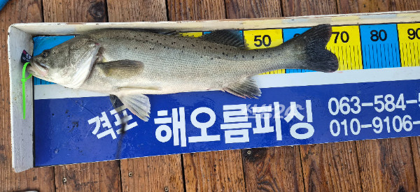 9024.jpg