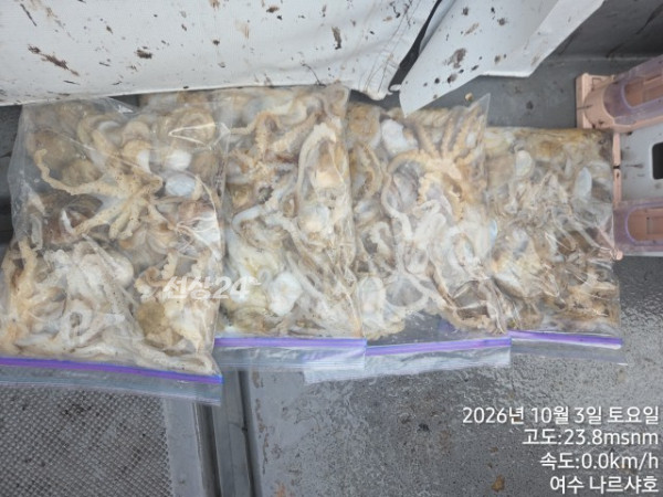 10905.jpg