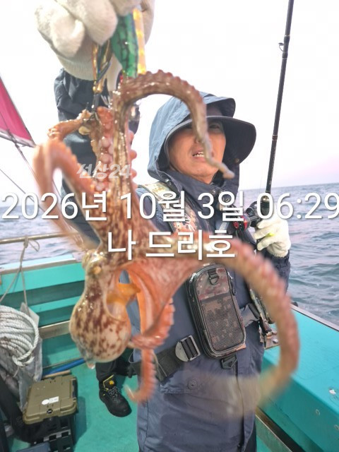KakaoTalk_20261003_070050485_14.jpg