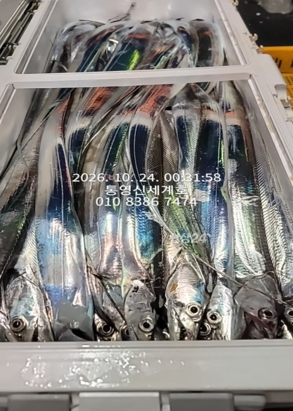 1792802505263.jpg