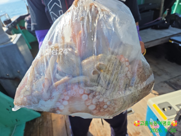 쎄븐피싱클럽(선상 버스출조전문)_사진_20260930_4.jpg
