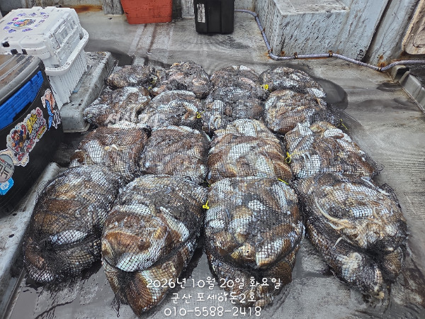 KakaoTalk_20261020_154835192_01.jpg