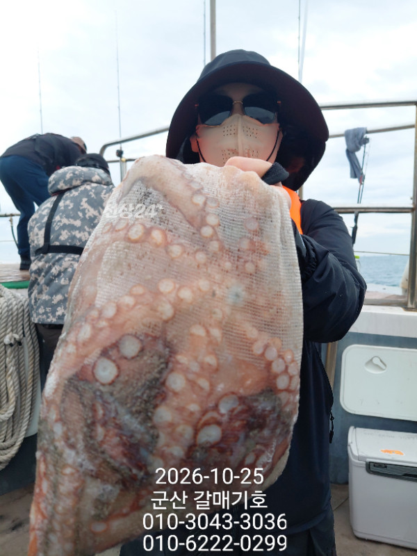 13058.jpg