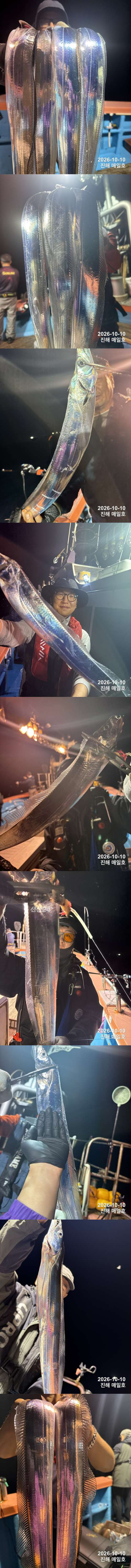 갈치1.jpg