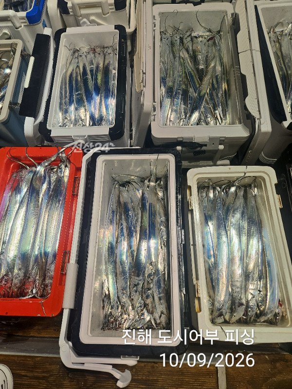 KakaoTalk_20261009_063157918_11.jpg