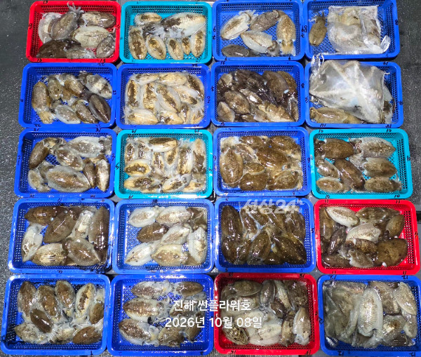 84580.jpg