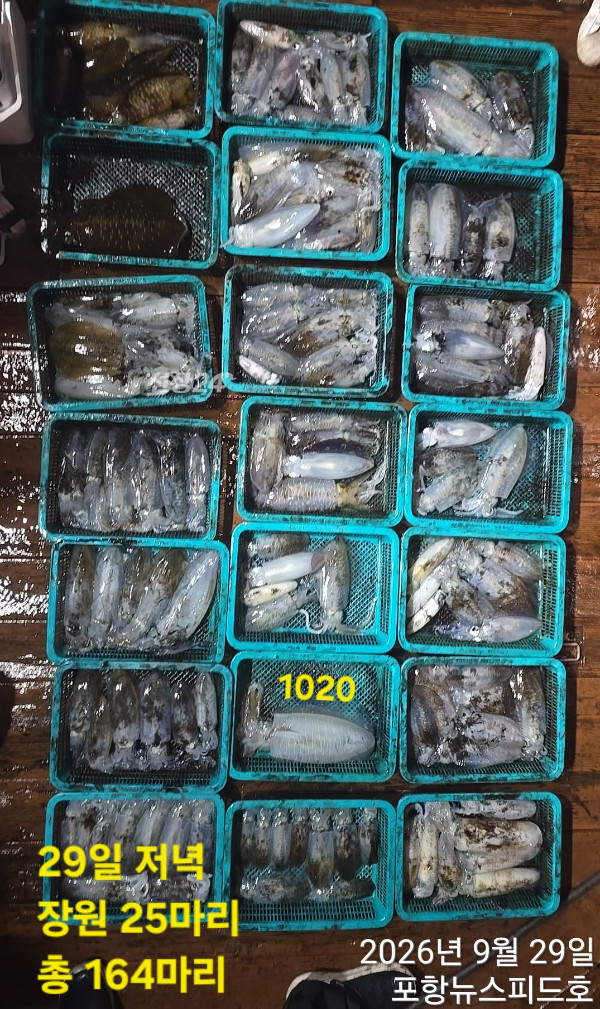 1000039644.jpg