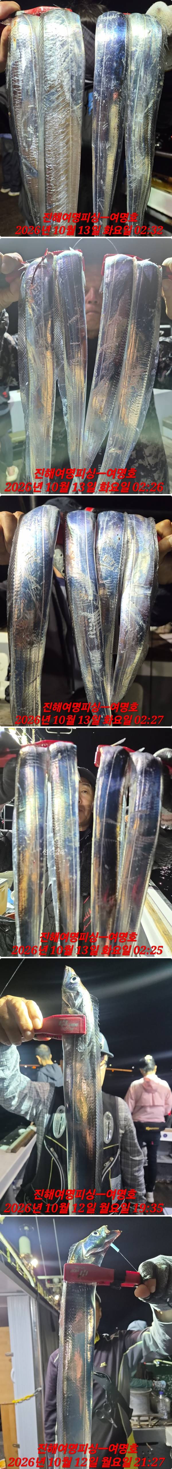 13일갈치중.jpg