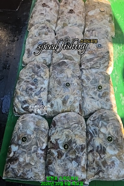 1000100667.jpg