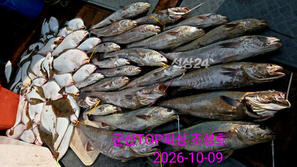 34624.jpg