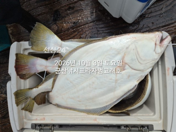KakaoTalk_20261003_144137408.jpg