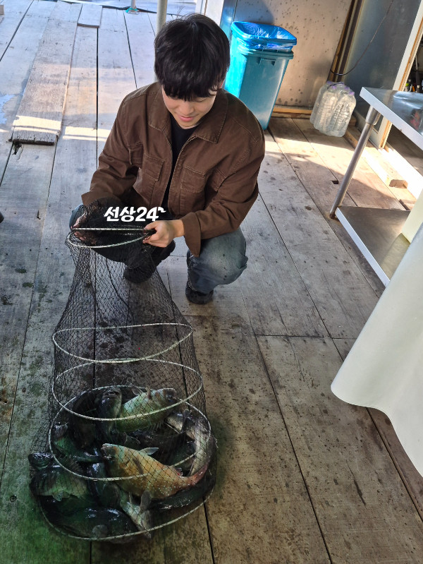 83271.jpg