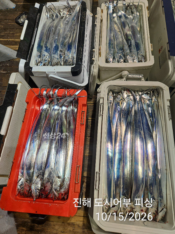 KakaoTalk_20261015_050642444_14.jpg