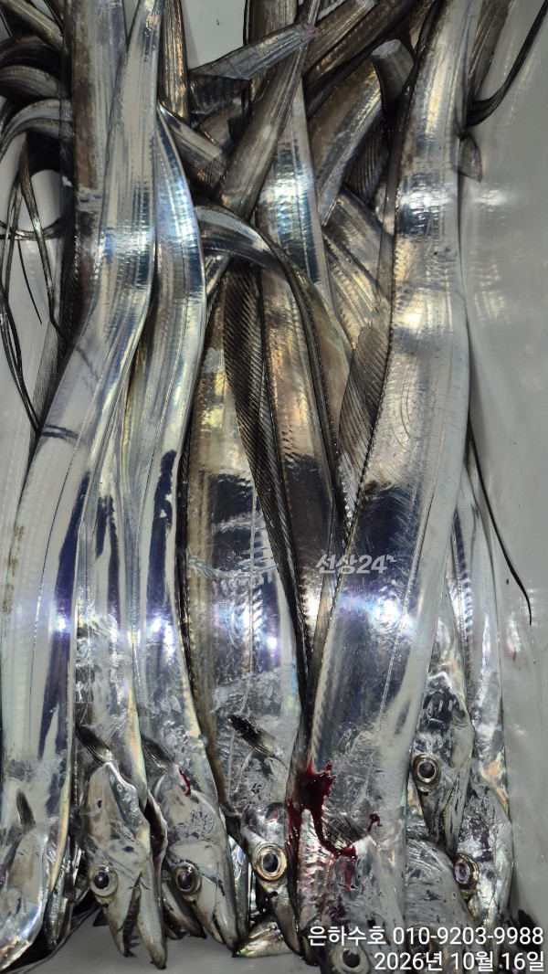 1000052942.jpg