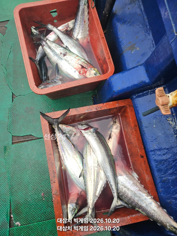 KakaoTalk_20261020_083152013_08.jpg