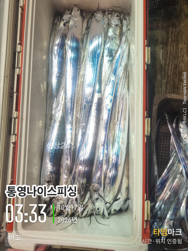 20261017_033331_글꼴-통영나이스피싱.jpg
