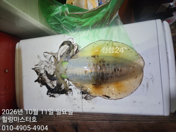 KakaoTalk_20261011_033114469_17.jpg