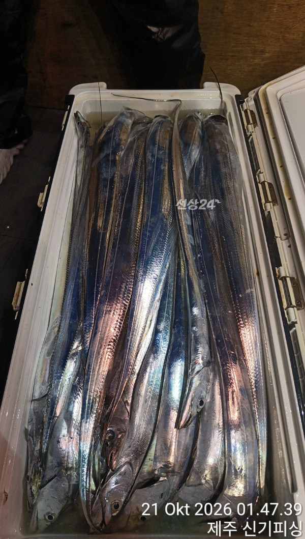 KakaoTalk_20261021_173934356_15.jpg