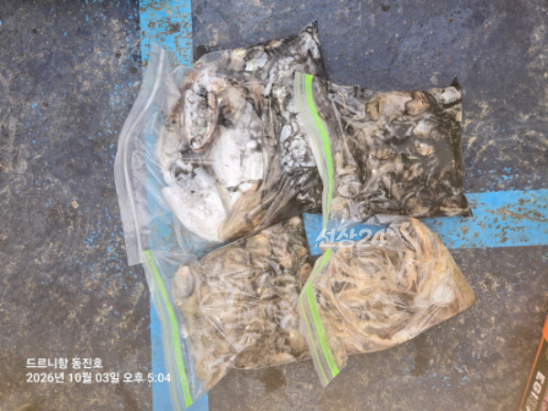 IMG_9787.jpeg