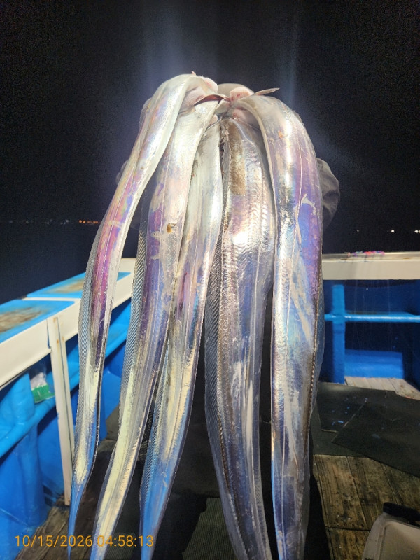 KakaoTalk_20261017_200915598_06.jpg