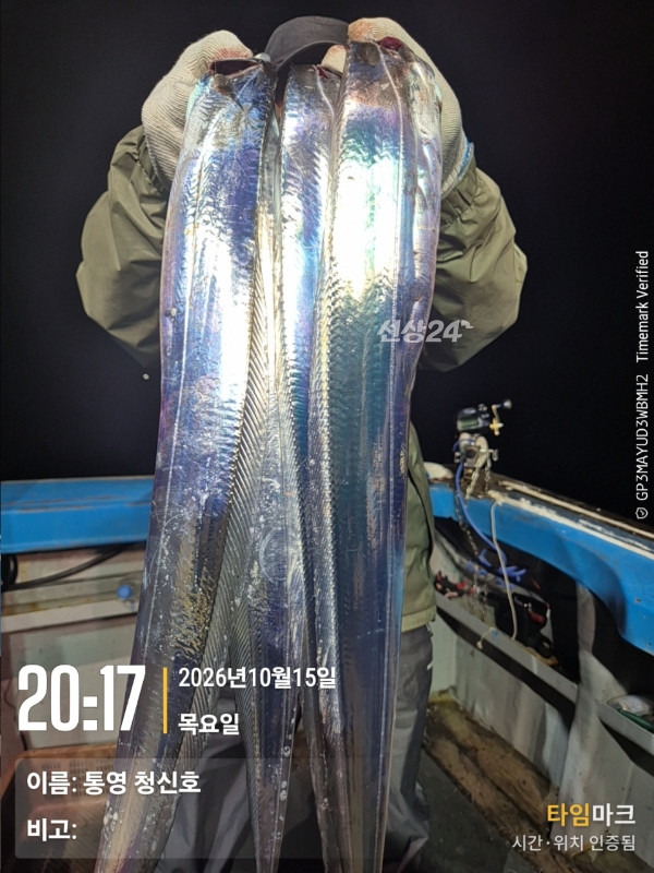 통영청신호입니다_사진_20261016_6.jpg