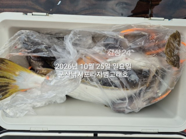 KakaoTalk_20261025_175508608_03.jpg