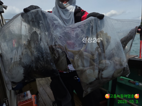 쎄븐피싱클럽(선상 버스출조전문)_사진_20261003_1.jpg