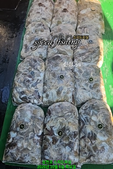 1000100667.jpg