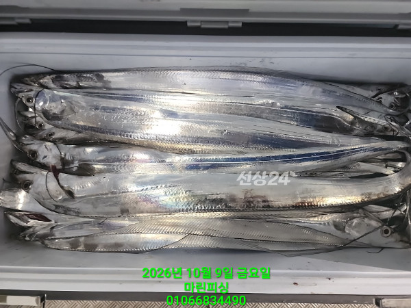 KakaoTalk_20261009_072903916_15.jpg