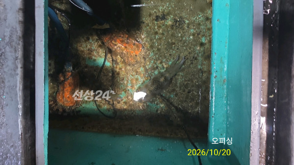 43071.jpg
