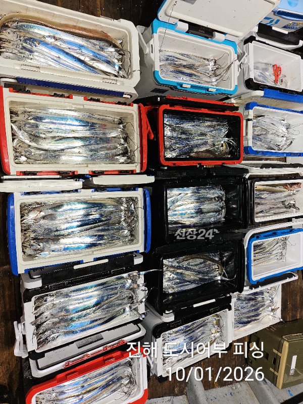 KakaoTalk_20261001_064438979_12.jpg