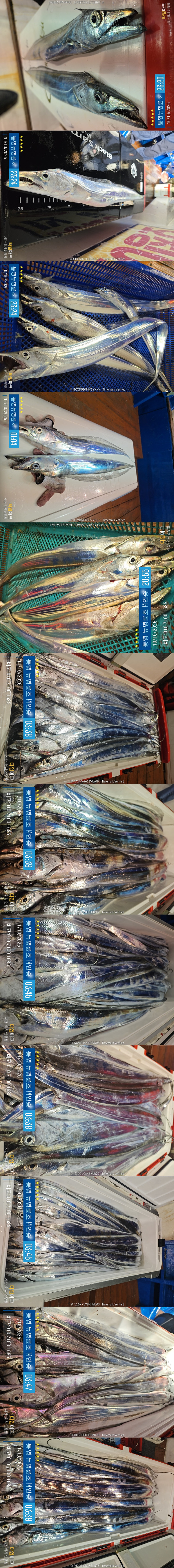 10-11갈치2.jpg
