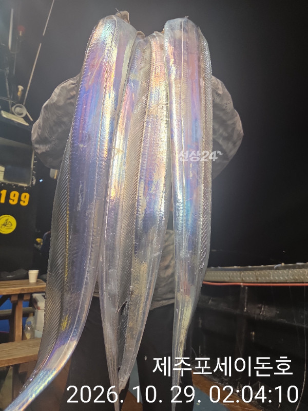 1000051156.jpg