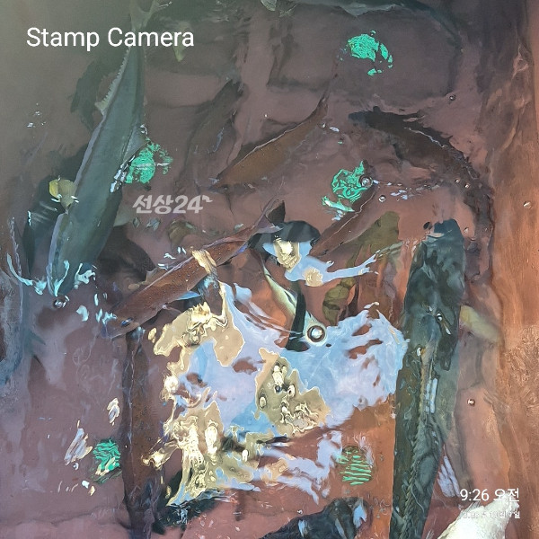 StampCamera20261009092620.jpg