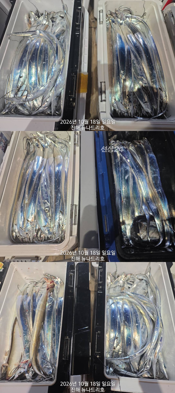 낱1.jpg
