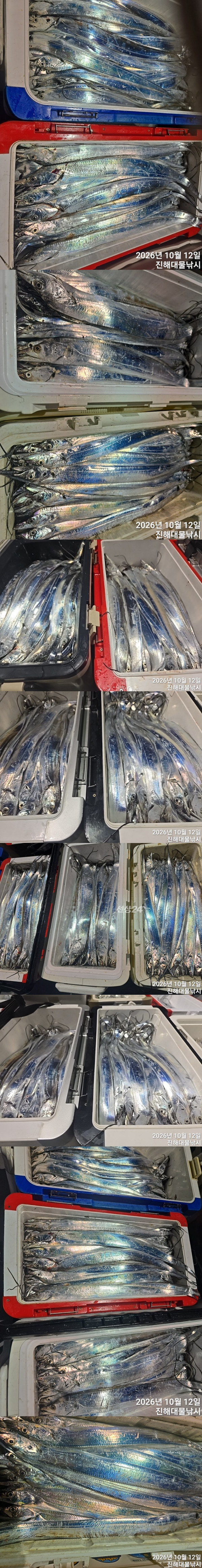 칼치4.jpg