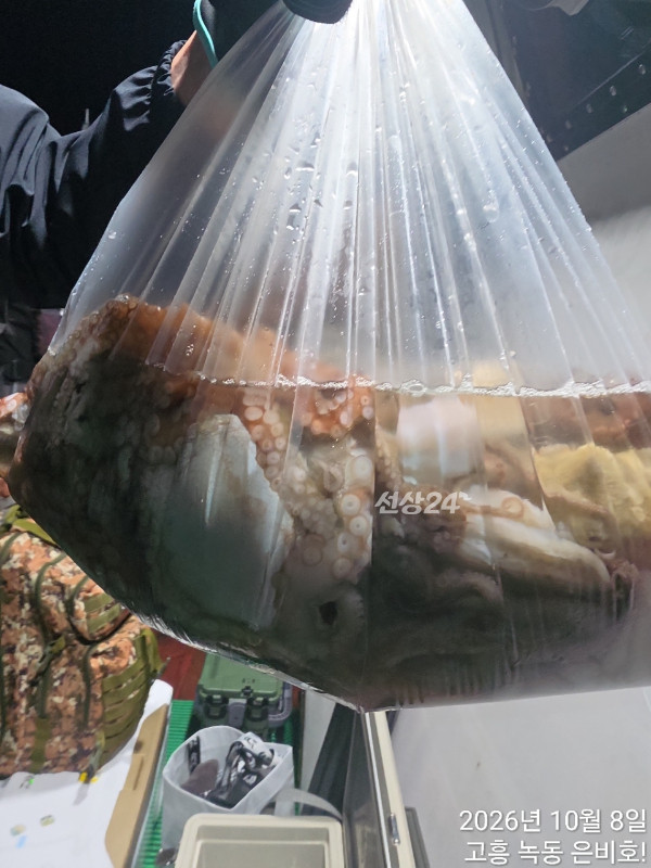 쎄븐피싱클럽(선상 버스출조전문)_사진_20261009_13.jpg
