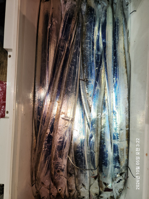 82222.jpg