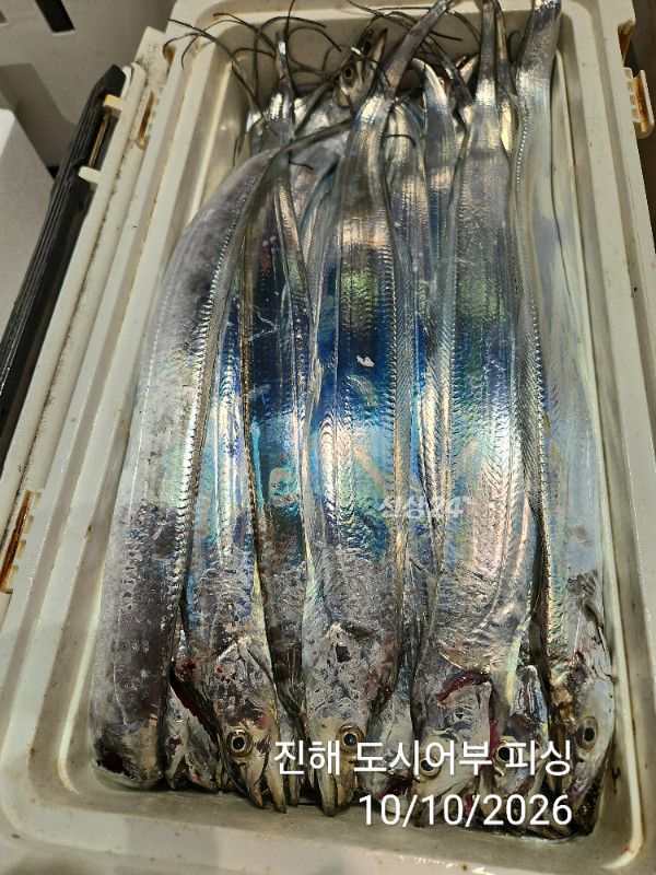 KakaoTalk_20261010_043600356_15.jpg